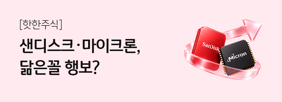 샌디스크·마이크론, 닮은꼴 행보?